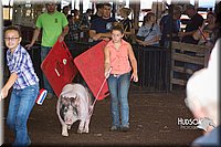 LCFAIR15-2246.jpg