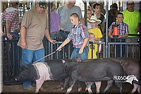 LCFAIR15-2247.jpg