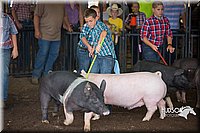 LCFAIR15-2249.jpg