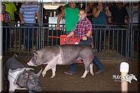 LCFAIR15-2250.jpg