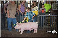 LCFAIR15-2251.jpg