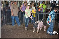 LCFAIR15-2254.jpg