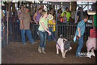 LCFAIR15-2255.jpg