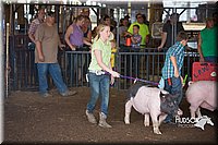 LCFAIR15-2256.jpg