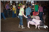 LCFAIR15-2257.jpg