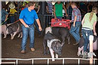 LCFAIR15-2258.jpg