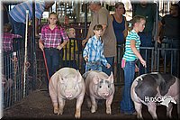 LCFAIR15-2281.jpg