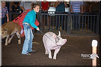 LCFAIR15-2285.jpg