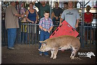 LCFAIR15-2286.jpg