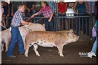 LCFAIR15-2289.jpg