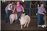 LCFAIR15-2290.jpg