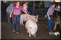 LCFAIR15-2291.jpg