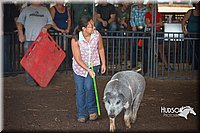 LCFAIR15-2293.jpg