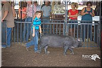 LCFAIR15-2326.jpg