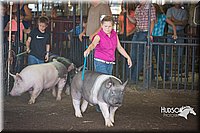 LCFAIR15-2329.jpg