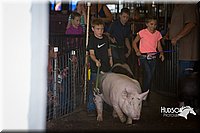 LCFAIR15-2330.jpg