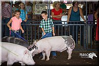 LCFAIR15-2331.jpg