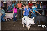 LCFAIR15-2333.jpg