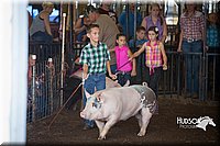 LCFAIR15-2334.jpg