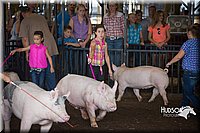 LCFAIR15-2335.jpg