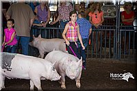 LCFAIR15-2336.jpg