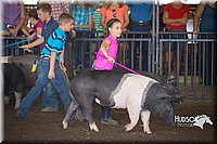 LCFAIR15-2338.jpg