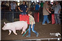 LCFAIR15-2381.jpg