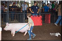 LCFAIR15-2382.jpg