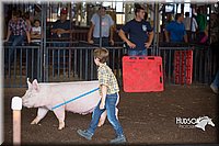 LCFAIR15-2383.jpg