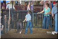 LCFAIR15-2384.jpg