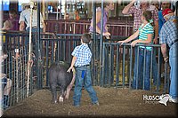 LCFAIR15-2385.jpg