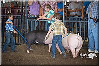 LCFAIR15-2386.jpg