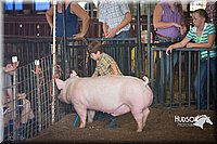 LCFAIR15-2390.jpg