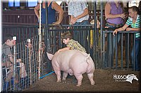 LCFAIR15-2391.jpg