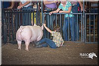 LCFAIR15-2392.jpg