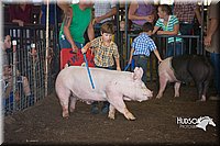 LCFAIR15-2393.jpg