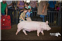 LCFAIR15-2394.jpg