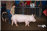 LCFAIR15-2395.jpg