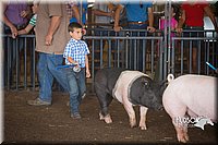 LCFAIR15-2396.jpg