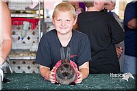 LCFAIR15-2707.jpg