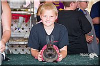 LCFAIR15-2709.jpg