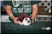 LCFAIR15-2832.jpg