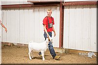 LCFAIR15-4931.jpg