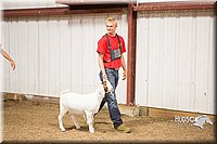 LCFAIR15-4932.jpg