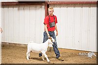 LCFAIR15-4933.jpg