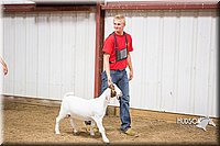 LCFAIR15-4934.jpg