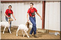 LCFAIR15-4935.jpg