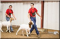 LCFAIR15-4936.jpg