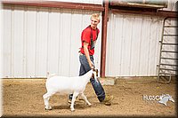 LCFAIR15-4938.jpg