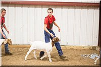 LCFAIR15-4939.jpg